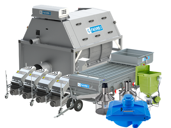 Влажный препарат "Развитие костистой рыбы"