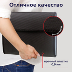 Папка для конференций BRAUBERG А4 6 отделений черная Россия (2 штуки в упаковке)