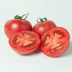 Шидс F1 семена томата детерминантного (Гавриш)