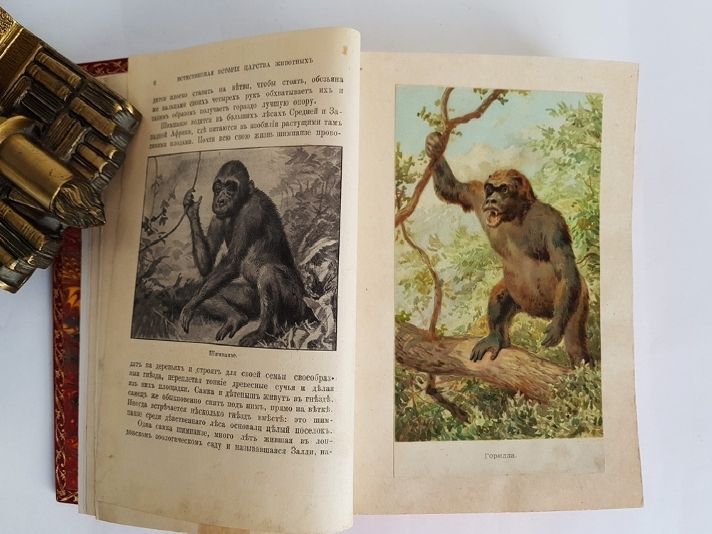 "Иллюстрированный Мир Животных". Проф. В.Маршалль. 1914 г.