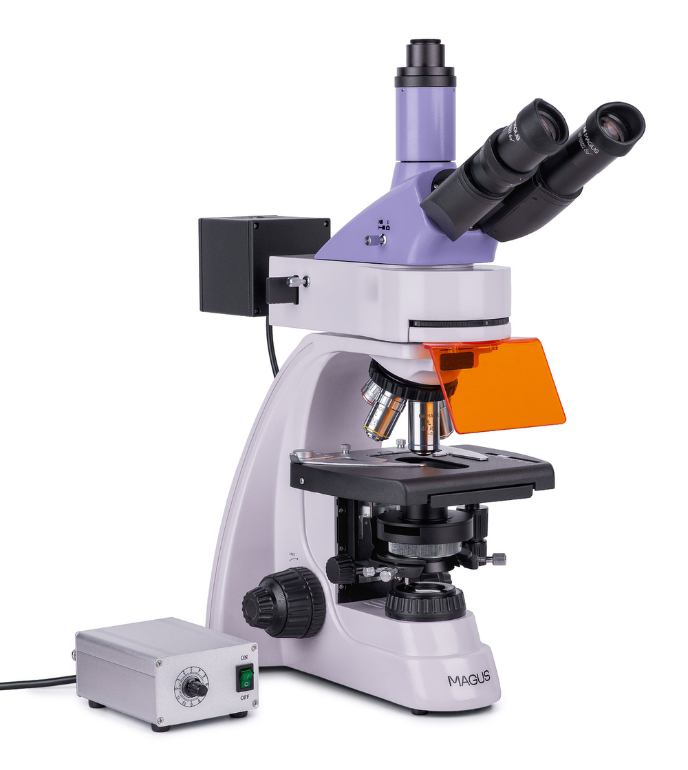 Микроскоп люминесцентный MAGUS Lum 400L