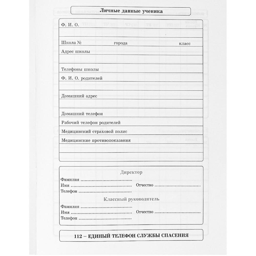 Дневник школьный Проф-Пресс, 1-11 кл., 40л., скрепка, обложка мелованный картон, "Городская девушка"