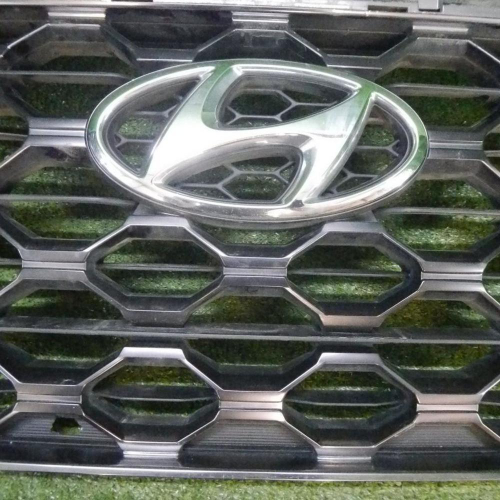 Решетка радиатора Hyundai Santa Fe 4 TM (2018-2021)