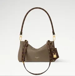 Сумка Louis Vuitton Express