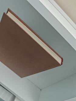 Мир животных. Рассказы о домашних животных