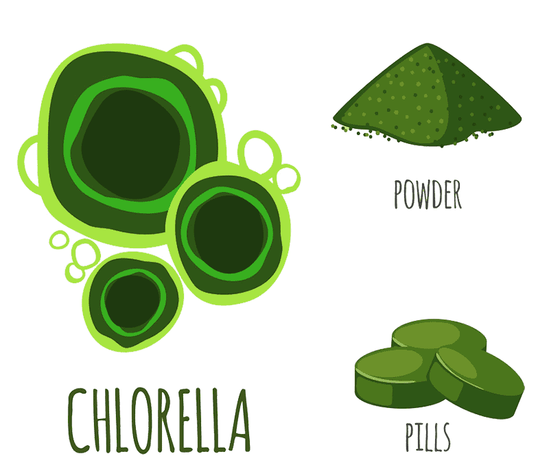 Хлорелла на главной