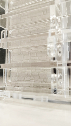 формикарий Crystal L pro + колония Messor Barbarus