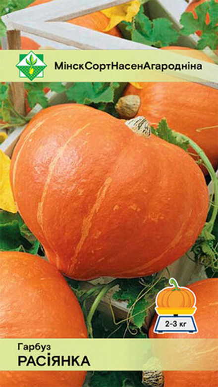 Тыква "Россиянка" 10шт, Россия.