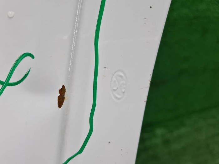 Крыло переднее правое Hyundai Tucson 4 (2020-н.в.)