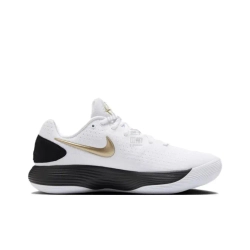 Мужские кроссовки Nike Hyperdunk 2017 Low EP 'White Metallic Gold Black' HV1793-170
