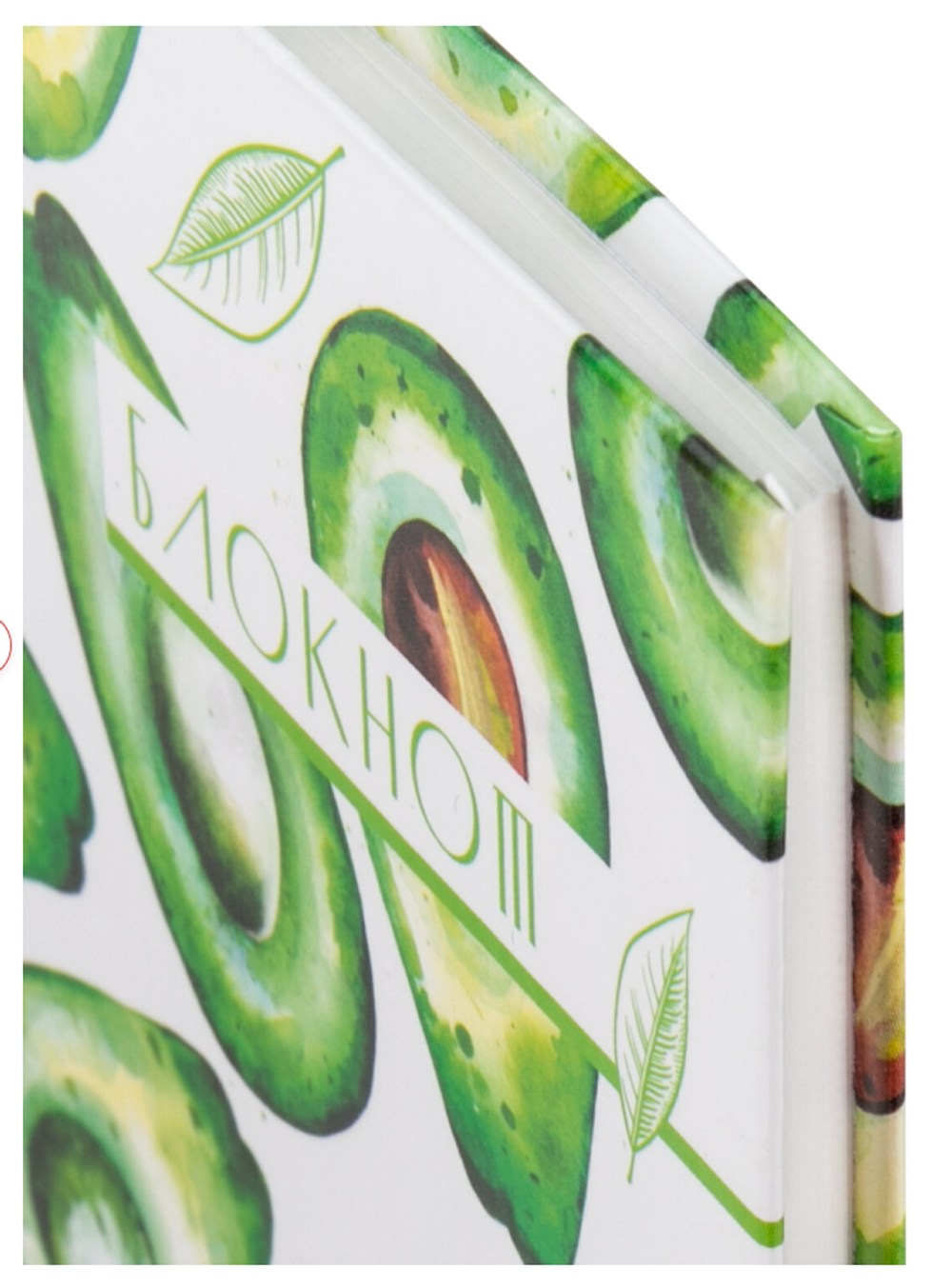 111598 Блокнот А5 134х205 80л АВОКАДО STAF