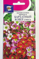 Камнеломка Бархатный ковер 0,01 г СМЦ-40
