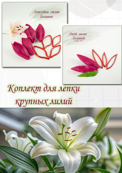 Комплект для лепки крупных и средних лилий