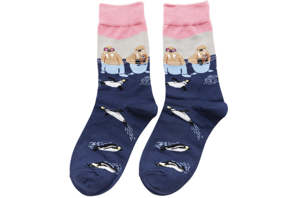 Носки Funfur Norsk в наборе 5 пар