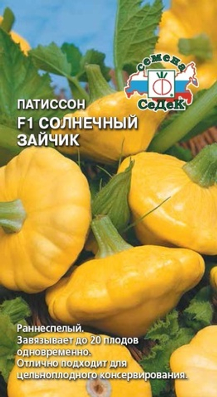 Патиссон Солнечный зайчик Седек