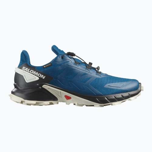 Кроссовки для бега Salomon Alphaglide GTX black/asphalt/black