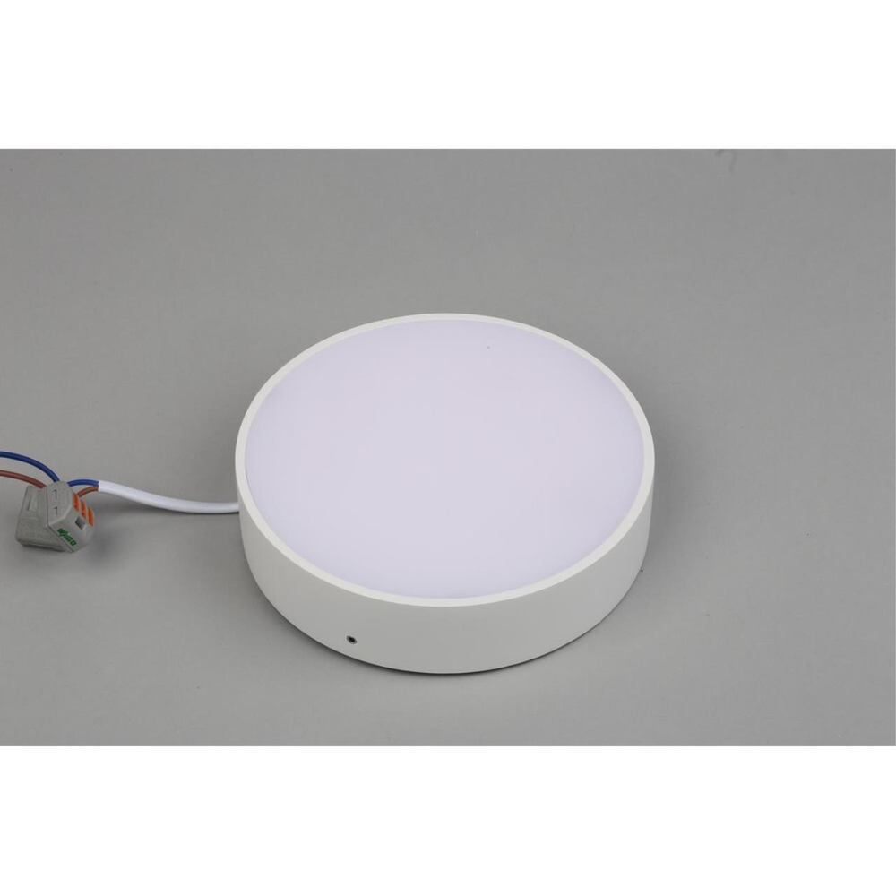 Потолочный светодиодный светильник Aployt Evon APL.0114.09.18