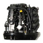 Лодочный мотор бензиновый Golfstream F100FEL-T EFI
