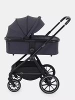 Коляска детская Rant MOSS (2в1) RA321 Graphite