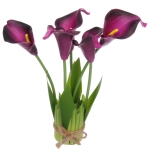 Цветочная композиция «Весенняя рапсодия» 15*30см Каллы фиолетовые