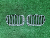 Решетка радиатора Комплект BMW X3 F25 (2010-2014)