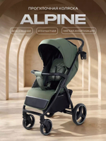 Коляска прогулочная Rant Basic Alpine Olive 2026