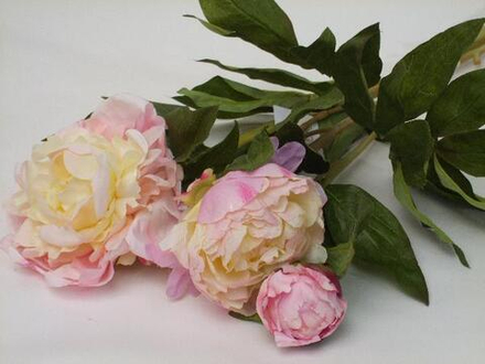 Букет из трех кремовых пионов