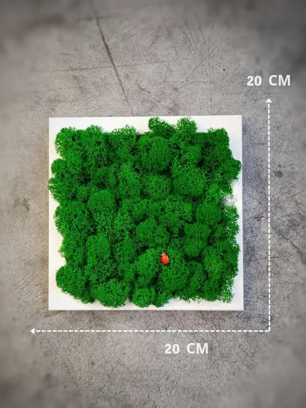 Панно из мха набор 3 шт.