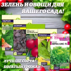 Зелень и овощи для Вашего сада