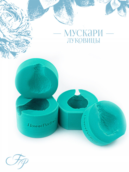 Мускари луковицы