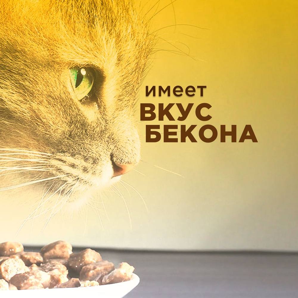 Apicenna Гепатовет Актив для собак и кошек, суспензия для нормализации и улучшения работы печени, 50 мл. Метионин.