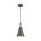Подвесной светильник Биконес / Bicones E27х1 Maytoni p359-pl-140-c