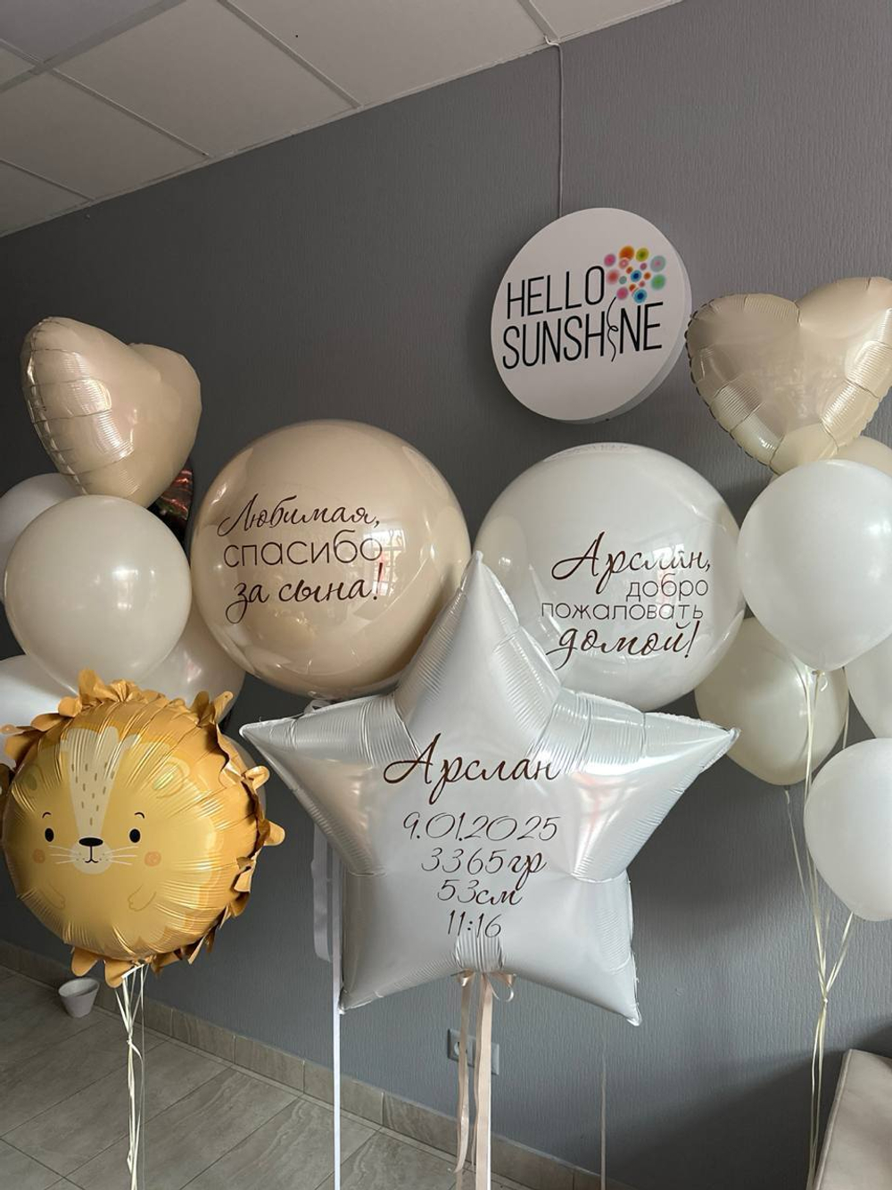 Набор шаров на выписку №90