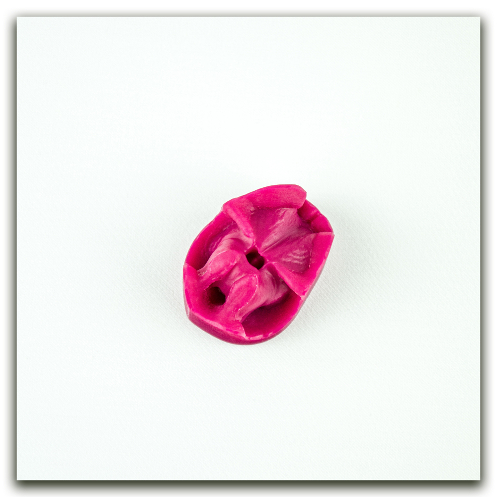 Орхидея фаленопсис L