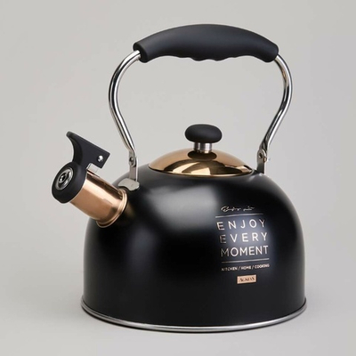 Чайник 2,5л нерж со свистком, индукция, 914-162