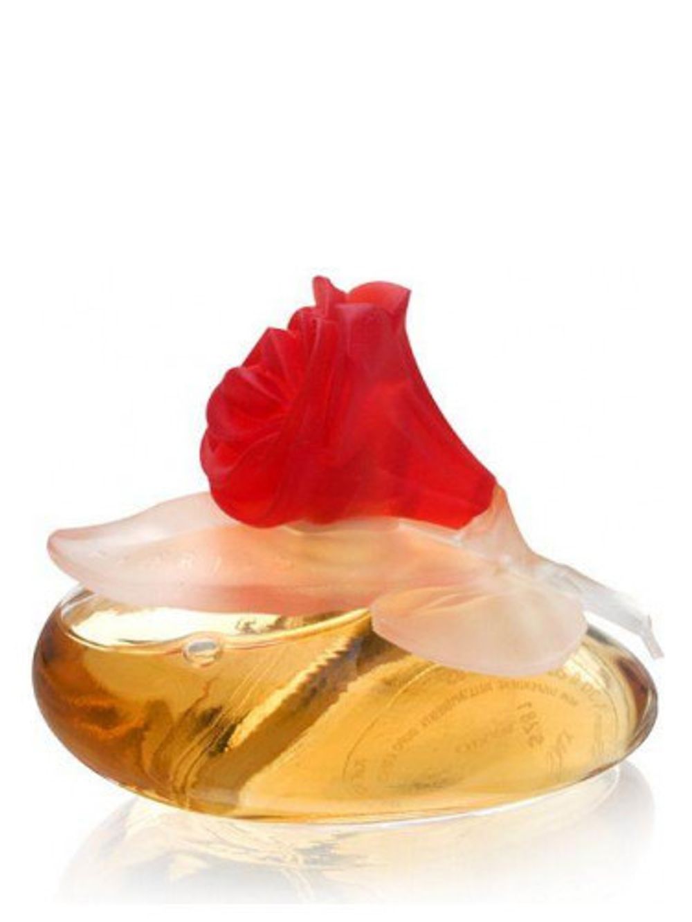 Pupa Fiorilu En Fleur