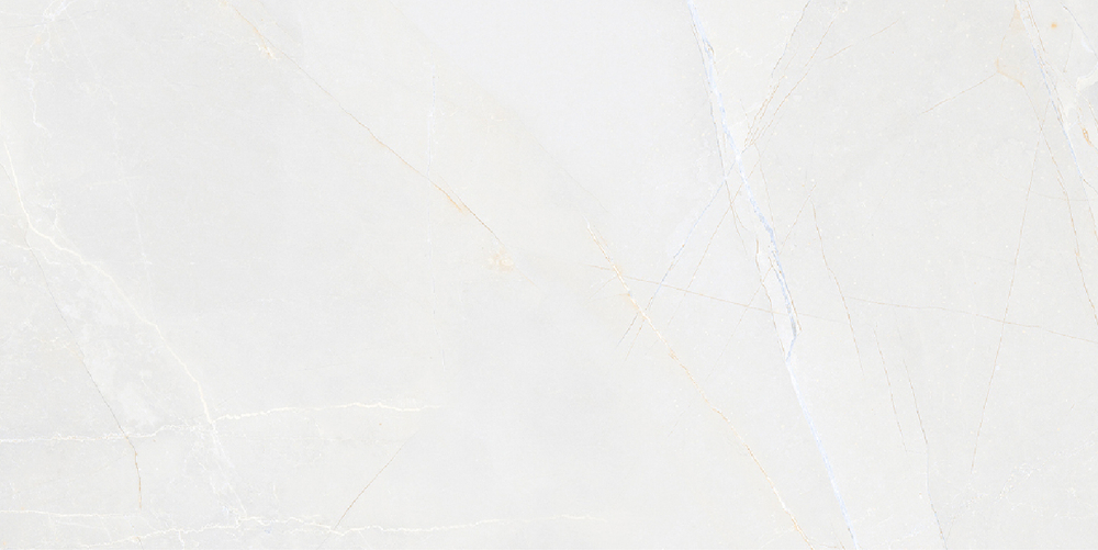 Kevis Canvas White Polished 60x120