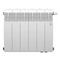 Радиатор Royal Thermo BiLiner 350 /Bianco Traffico VDR - 6 секц. — (1)
