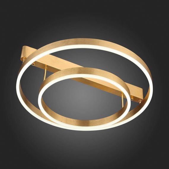 Потолочная светодиодная люстра ST Luce Onze SL944.202.02