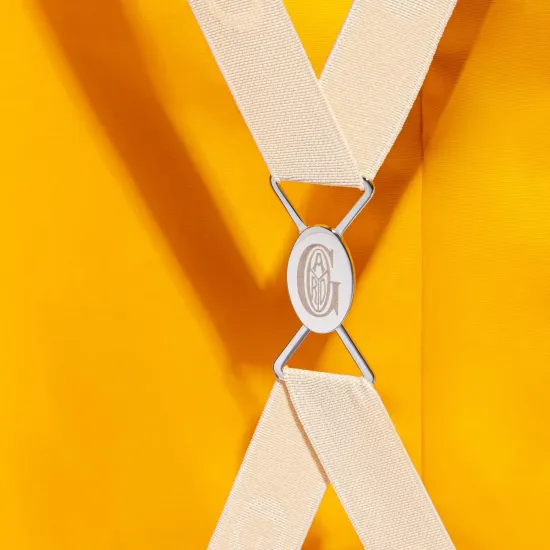 Чемодан Goyard Bourget PM