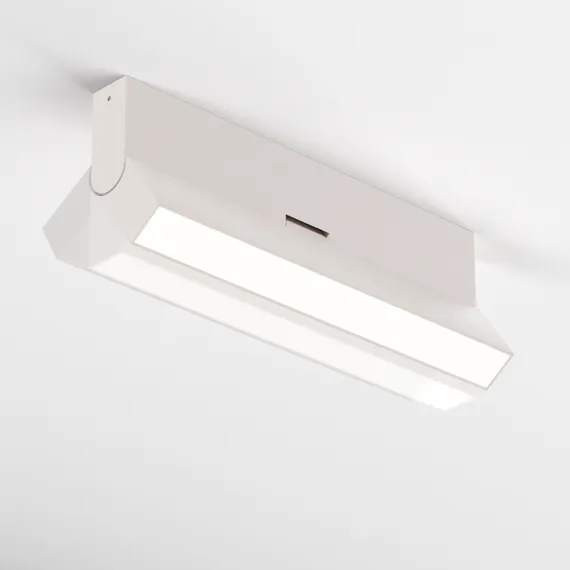 Потолочный светильник Базис поворотный / Basis Rot 12 Вт 4000 К 120° Technical c133cl-12w4k-w