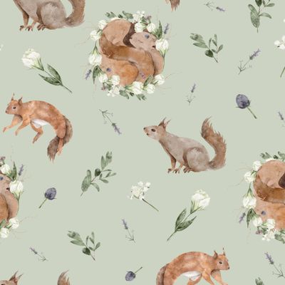 Белки зеленый фон