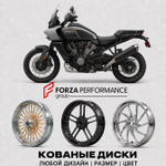 Кованые диски для Harley Davidson Pan America