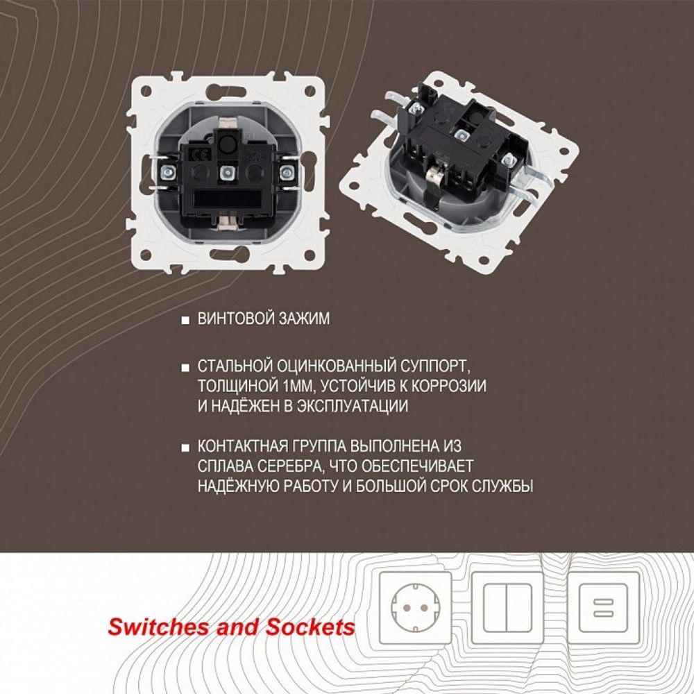 Розетка с заземлением и со шторкой, без рамки Arte Milano am-205 205.40-1.silver