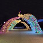 светящаяся конструкция Жар Птица