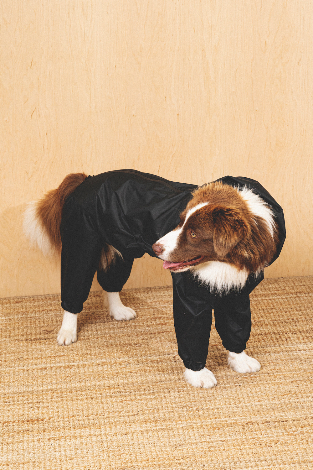 Комбинезон "Пони-комбинезони" черный