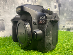Canon 80D (44.000 кадров)