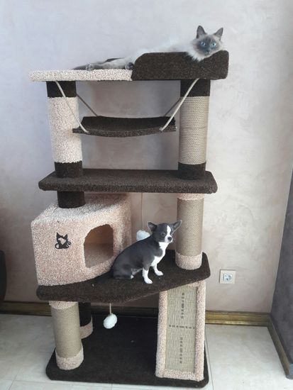 Дом для кошки И-87