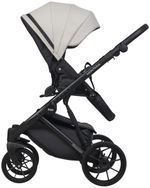 Детская коляска Riko Basic Montana X Ecco 2 в 1 31 Light Silver-Black (св.серый-черный)