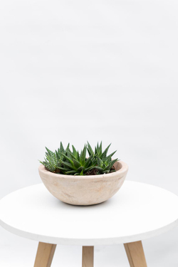 Кашпо Terra Circle